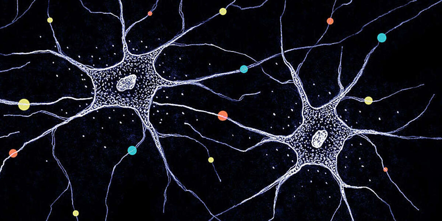 Ілюстрація нервових клітин. University of Basel