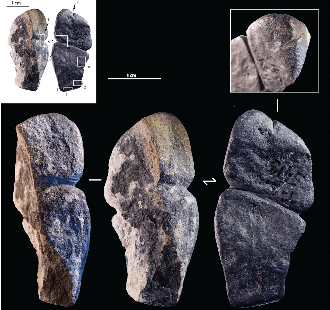 Кулон у вигляді фалоса віком 42 000 років.&amp;nbsp;Solange Rigaud et al. /&amp;nbsp;Scientific Reports, 2023