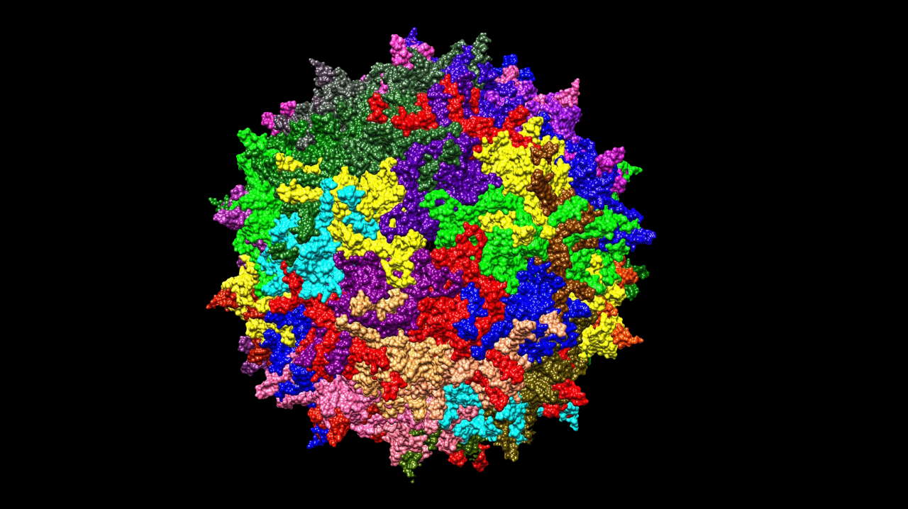 Тривимірна модель поверхні аденоасоційованого вірусу 2 серотипу.&amp;nbsp;Jazzlw /&amp;nbsp;Wikimedia Commons