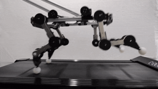 Робот біжить без двигунів по біговій доріжці. EPFL / YouTube