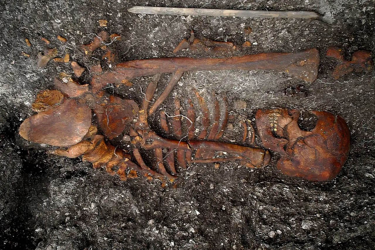 Скелет людини з Бразилії, у якої знайшли ДНК трепонеми.&amp;nbsp;Jose Filippini