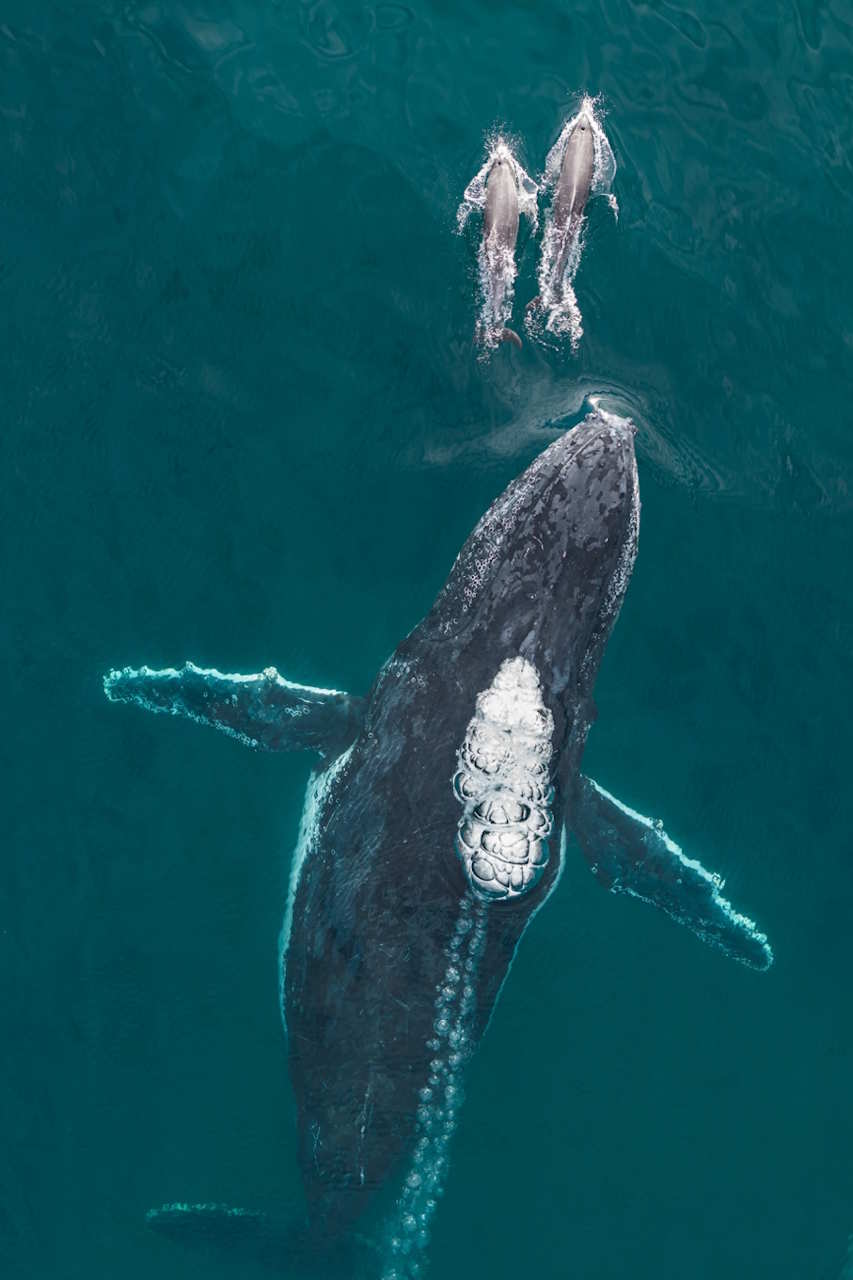 Craig Parry / Drone Photo Awards 2025