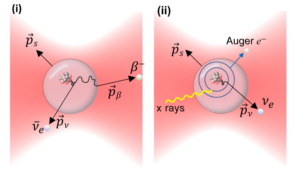 Ілюстрація бета-розпаду в наносфері, під час якого на неї може вплинути імпульс від стерильного нейтрино. Daniel Carney et al. / PRX Quantum, 2023