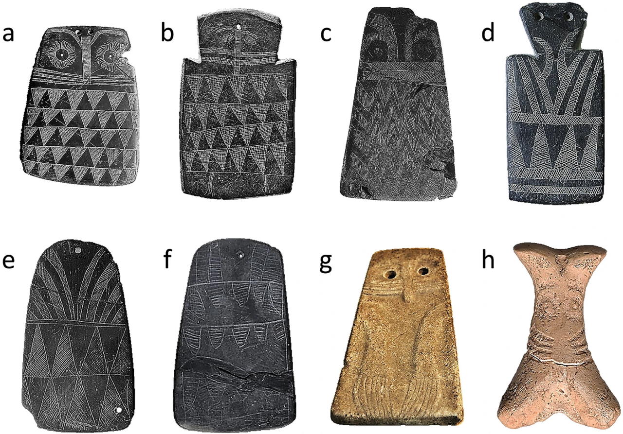 Кам'яні таблички із зображеннями з Піренейського півострова.&amp;nbsp;Juan Negro et al. / Scientific Reports, 2022
