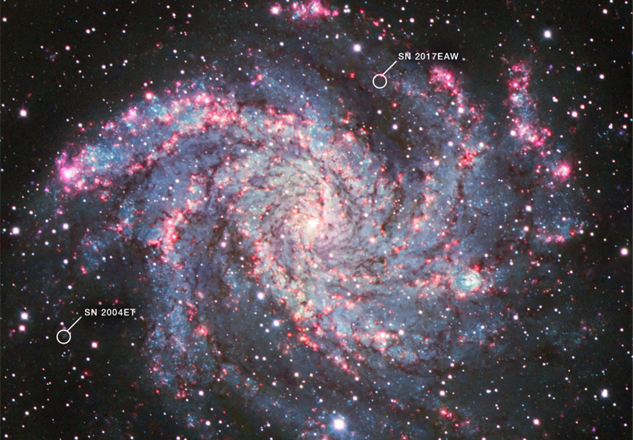 Наднові&amp;nbsp;SN 2004et і SN 2017eaw у галактиці&amp;nbsp;NGC 6946, яку спостерігав телескоп.&amp;nbsp;NASA, ESA, CSA, Ori Fox (STScI), Melissa Shahbandeh (STScI)