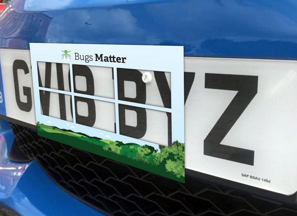 Рамка для номерного знака, яку використовували при підрахунку зіткнень комах.&amp;nbsp;Buglife 