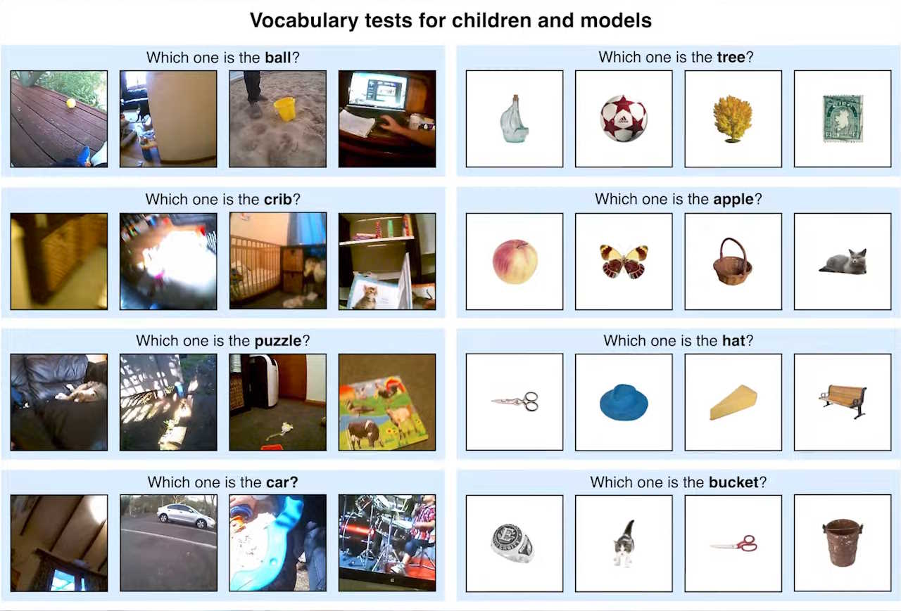 Тести на словниковий запас для дітей та моделей штучного інтелекту. Кожне запитання має чотири відповідних зображення, з яких потрібно обрати те, що відповідає на запитання. Наприклад, «яке є м'ячем?» або «яке зображення є деревом?».&amp;nbsp;New York University / YouTube
