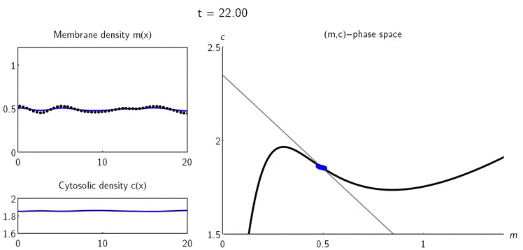 Розподіл щільності та локальних точок рівноваги у фазовому просторі / Physical Review X, 2020