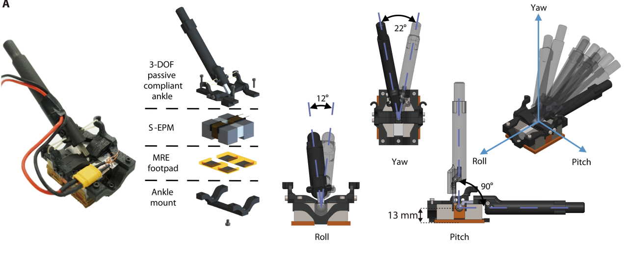 Конструкція ніжок робота.&amp;nbsp;Seungwoo Hong et al. / Science Robotics, 2022