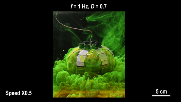 Динаміка води під роботом під час плавання.&amp;nbsp;Робот пливе нагору зі сміттям. Tianlu Wang et al. / Science Advances, 2023