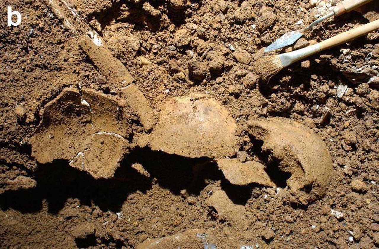 Розкопки в печері на півдні Італії, де знайшли хлопчика, зачатого від інцесту. Felice Larocca