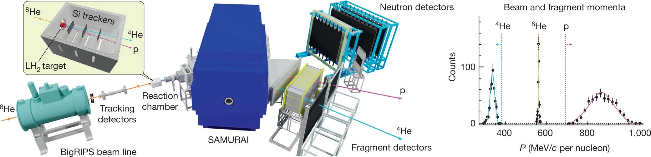 Схема експериментальної установки SAMURAI. M. Duer et al. / Nature, 2022