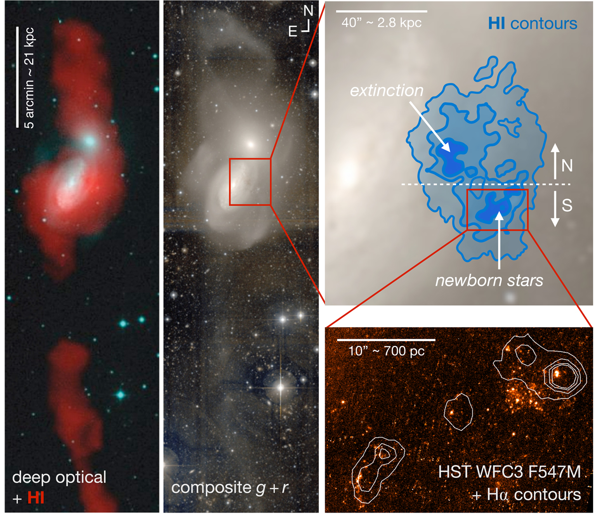 Положення галактики J1023+1952 у своїй системі. Зліва: випромінювання атомарного водню в системі Arp 94. Центр: оптичне зображення. Справа зверху: позиція та контури J1023+1952. Справа знизу: регіон зореутворення на півдні J1023+1952. M. Querejeta et al.