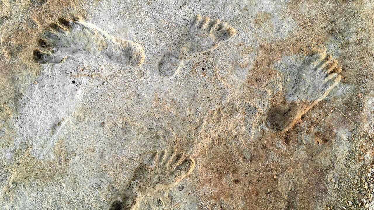 Скам'янілі сліди, які люди могли залишити в Америці на 5 000 років раніше за загальноприйняту дату прибуття людей на континент. National Park Service