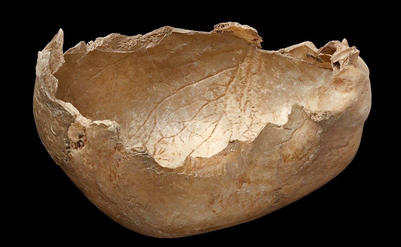 Чаша з людського черепа.&amp;nbsp;The Trustees of the Natural History Museum, London