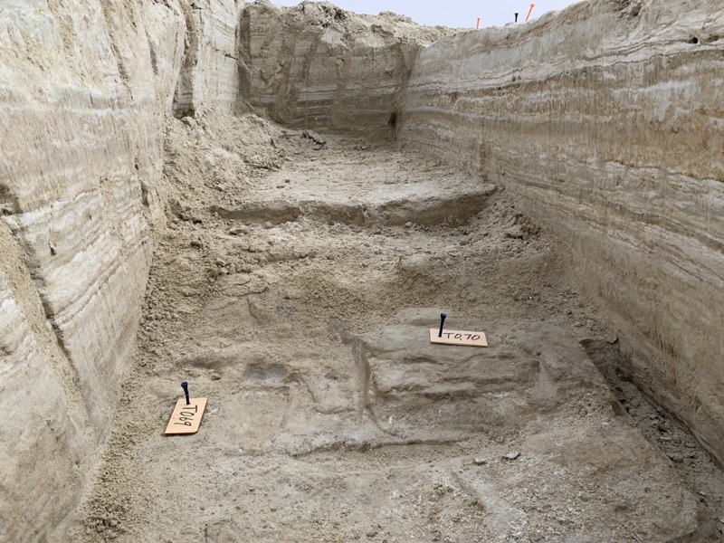 Людські сліди, які знайшли під час розкопок у нацпарку Вайт-Сандс.&amp;nbsp;National Park Service, USGS, Bournemouth University