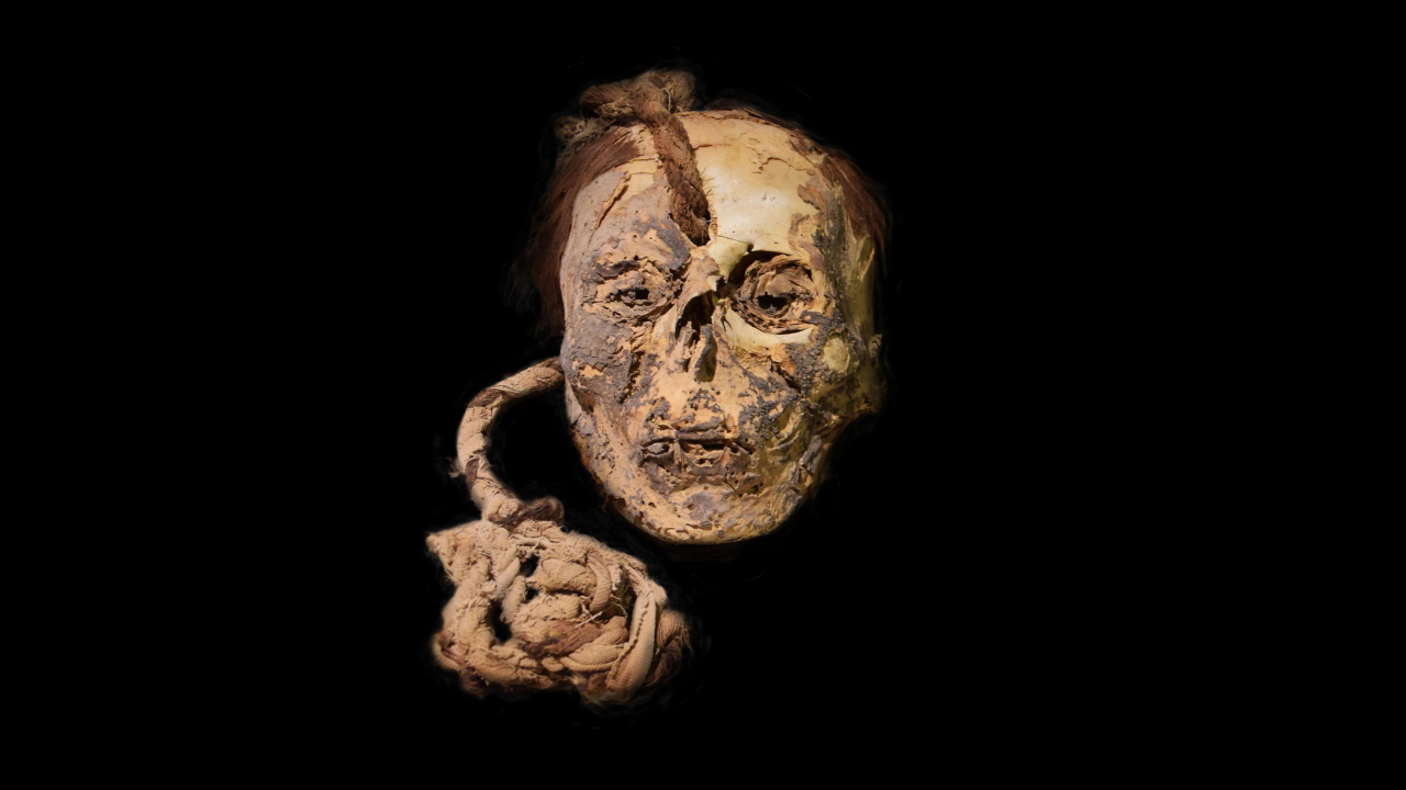 Трофейна голова жінки Наска, яка перед смертю вживала листя коки.&amp;nbsp;Dagmara M. Socha et al. /&amp;nbsp;Journal of Archaeological Science, 2022