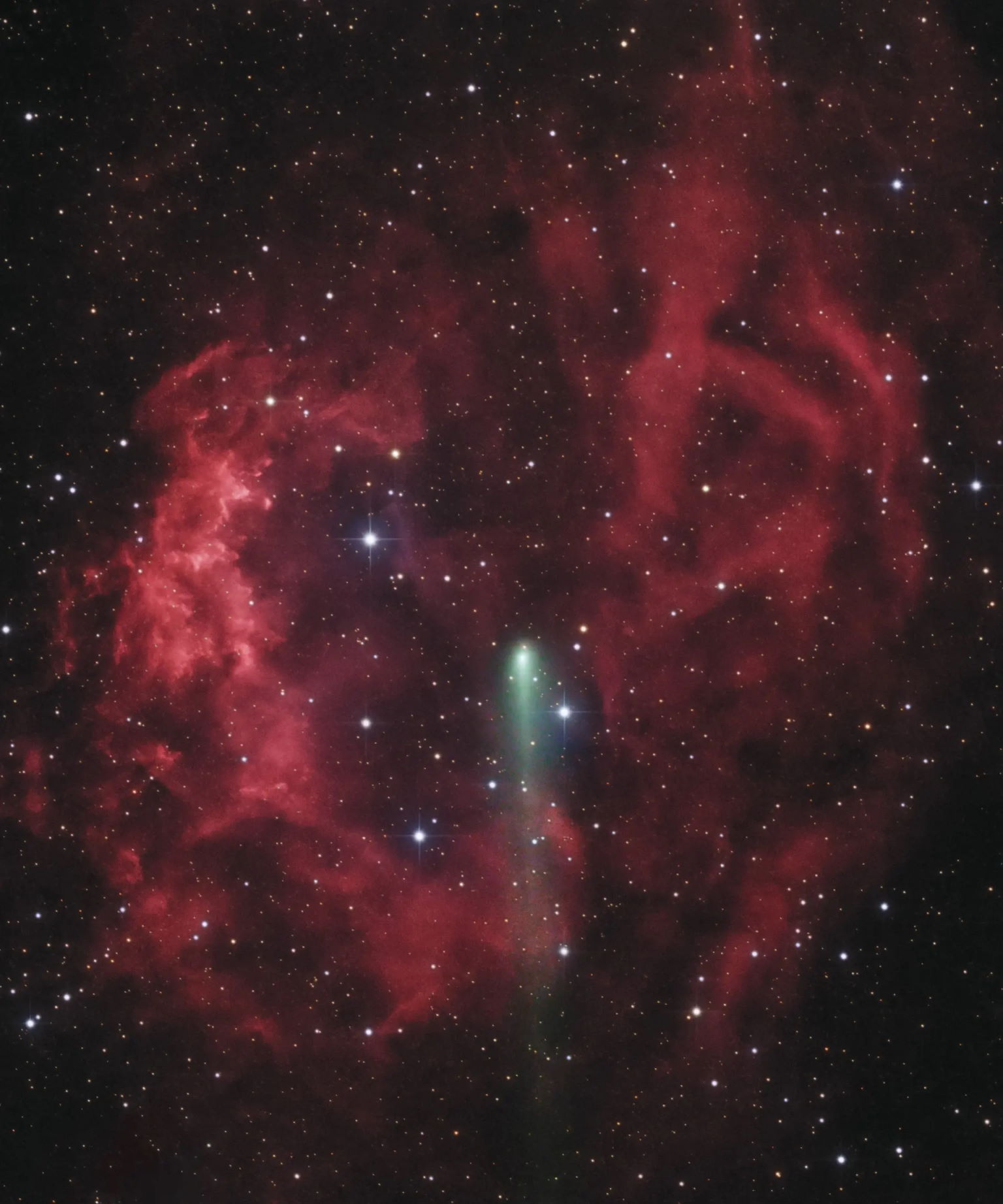 Короткоперіодична комета 4P/Фая або просто комета Фая проходить на тлі емісійної туманності Sh2-261 в сузір'ї Оріона. Lionel Majzik