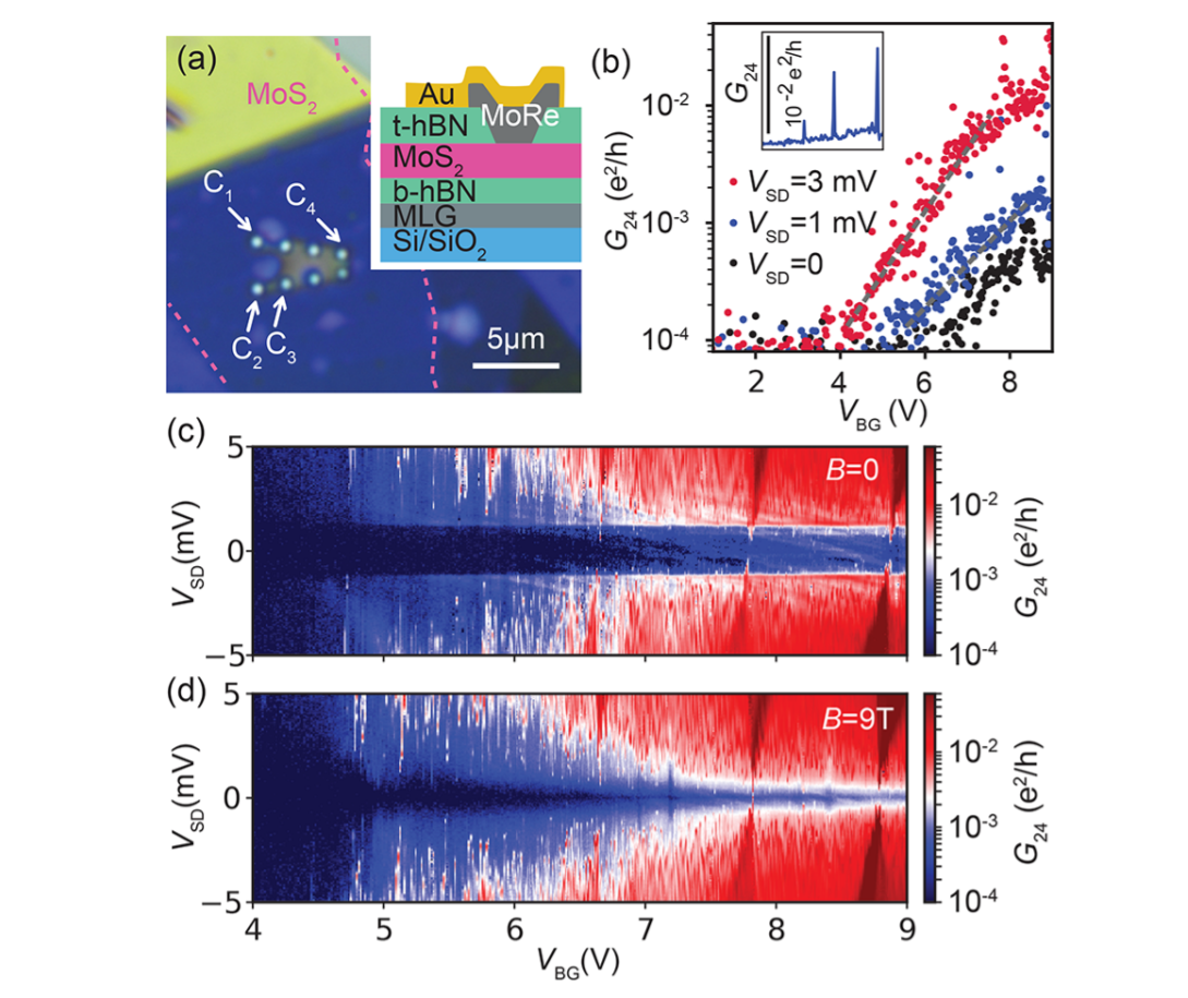 Оптичне мікроскопічне зображення гетероструктури MoS2 з контактами надпровідного MoRe за різних значень магнітної індукції (0 і 9 тесла). Mehdi Ramezani et al. / Nano Letters, 2021
