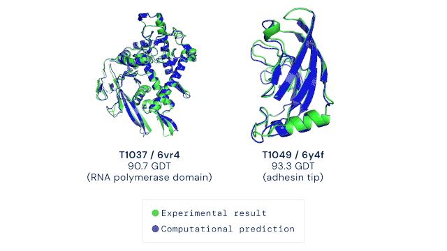 Два приклади моделей білків, де синій - комп’ютерне прогнозування, а зелений - експериментальні дані / deepmind.com