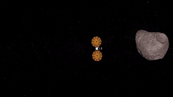 Ілюстрація обльоту астероїда станцією. NASA Solar System / Twitter