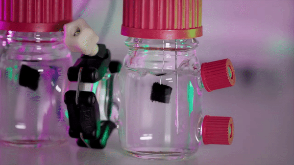 Мікробний паливний елемент, який створили з генномодифікованими кишковими паличками.&amp;nbsp;Jamani Caillet / EPFL