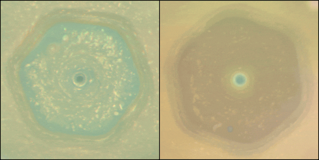 Шестикутний ураган Сатурна у 2013 і 2017 роках. NASA/JPL-Caltech/Space Science Institute/Hampton University