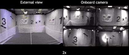 Відео з камери у польоті дрона. Songnan Bai et al. / Science Robotics, 2022