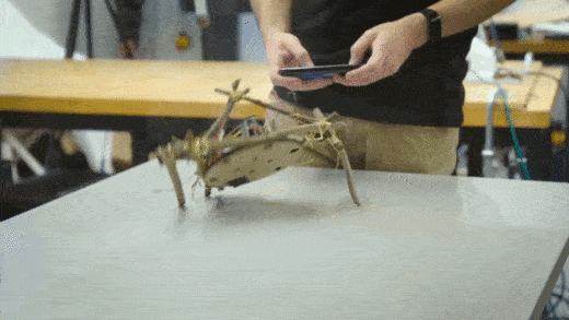 Робот з мотузок, дротів і гілок поповзав.&amp;nbsp;University of Pennsylvania / YouTube