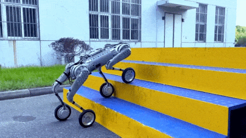 Unitree B-W лізе сходами. Unitree Robotics / YouTube
