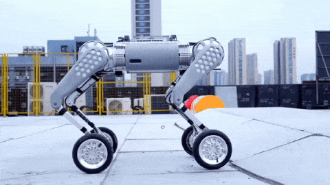 Модифікований робот Unitree B-W. Unitree Robotics / YouTube