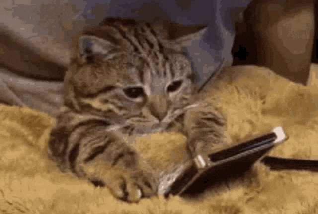 Спілкування з психологом в месенджері знизило прояви депресії не гірше за сесії через відеодзвінок. GIPHY