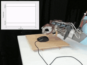 Роборука втримала комп'бтерну мишу в руках, хоча навчалася лише маніпулювати кулькою. Kieran Gilday et al. / Advanced Intelligent Systems, 2023