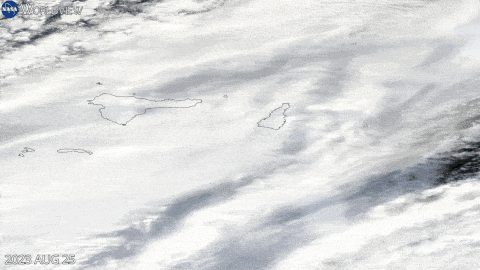 Наближення айсберга до острова.&amp;nbsp;NASA Earth Observatory/Wanmei Liang