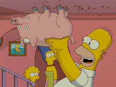 Гомер Джей Сімпсон точно знається на ментальному добробуті свиней. GIPHY