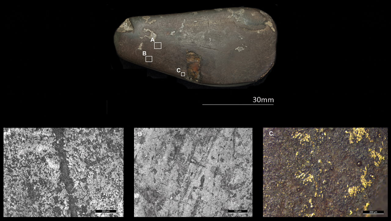 Один із вивчених кам'яних інструментів з мікрослідами зносу.&amp;nbsp;Rachel Crellin et al. / Antiquity, 2022