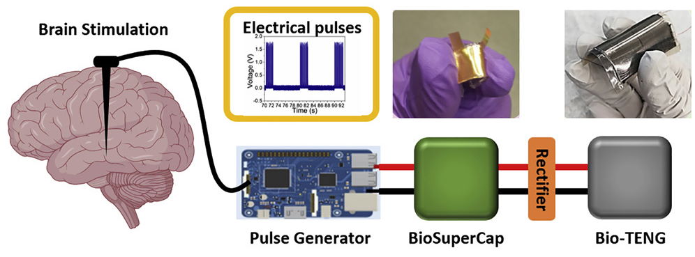Схема будови мозкового імплантату, що живиться від рухів дихання, де&amp;nbsp;Bio-TENG - трибоелектричний генератор, а&amp;nbsp;Bio-SuperCap - суперконденсатор.&amp;nbsp;EsraaElsanadidy et al. /&amp;nbsp;Cell Reports Physical Science, 2022