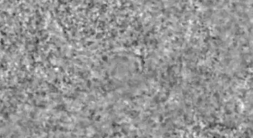 Доплерограма сонцетрусу, який стався 13 травня. NASA / SDO