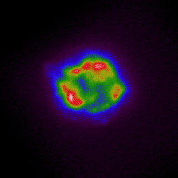 Інтенсивність рентгенівського випромінювання Кассіопеї А, отримана IXPE. Кольори выж холодного фіолетового і синього до червоного і білого відповідають збільшенню яскравості. Цей знімок IXPE зробив з 11 по 18 січня. NASA