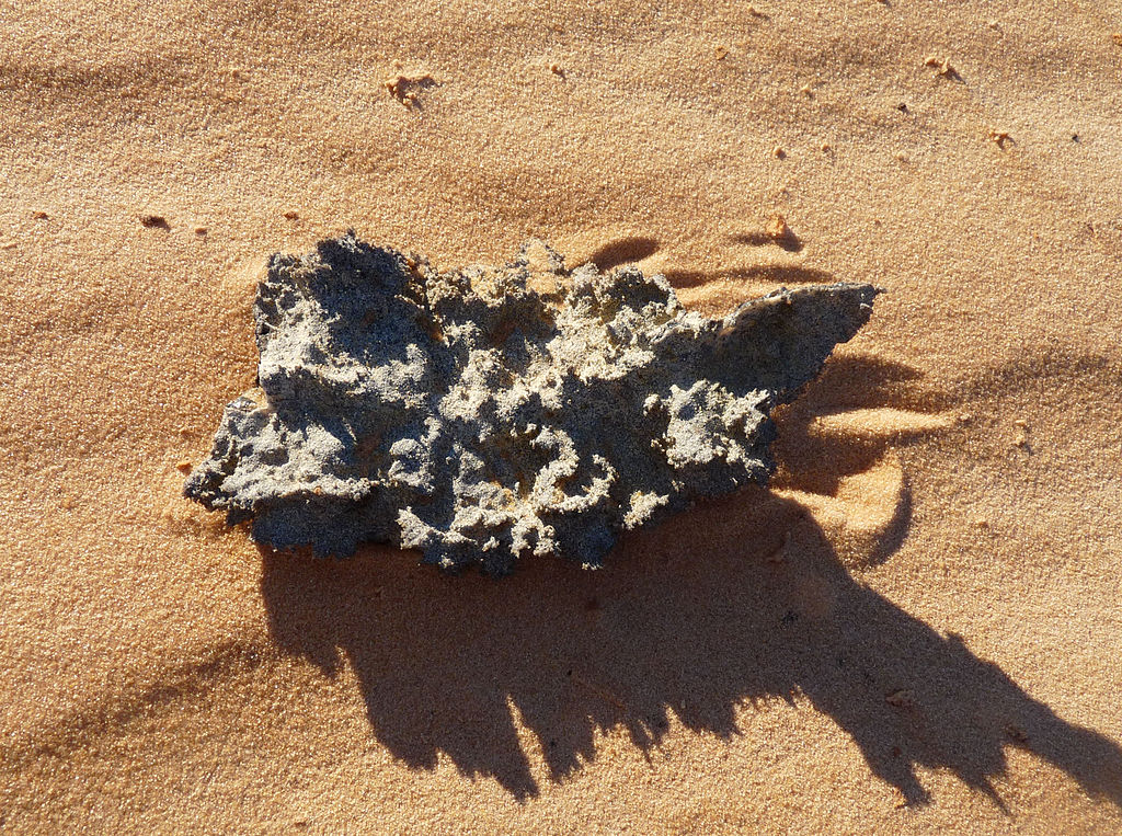 Фульгурит у пустелі. Ji-Elle / Wikimedia Commons