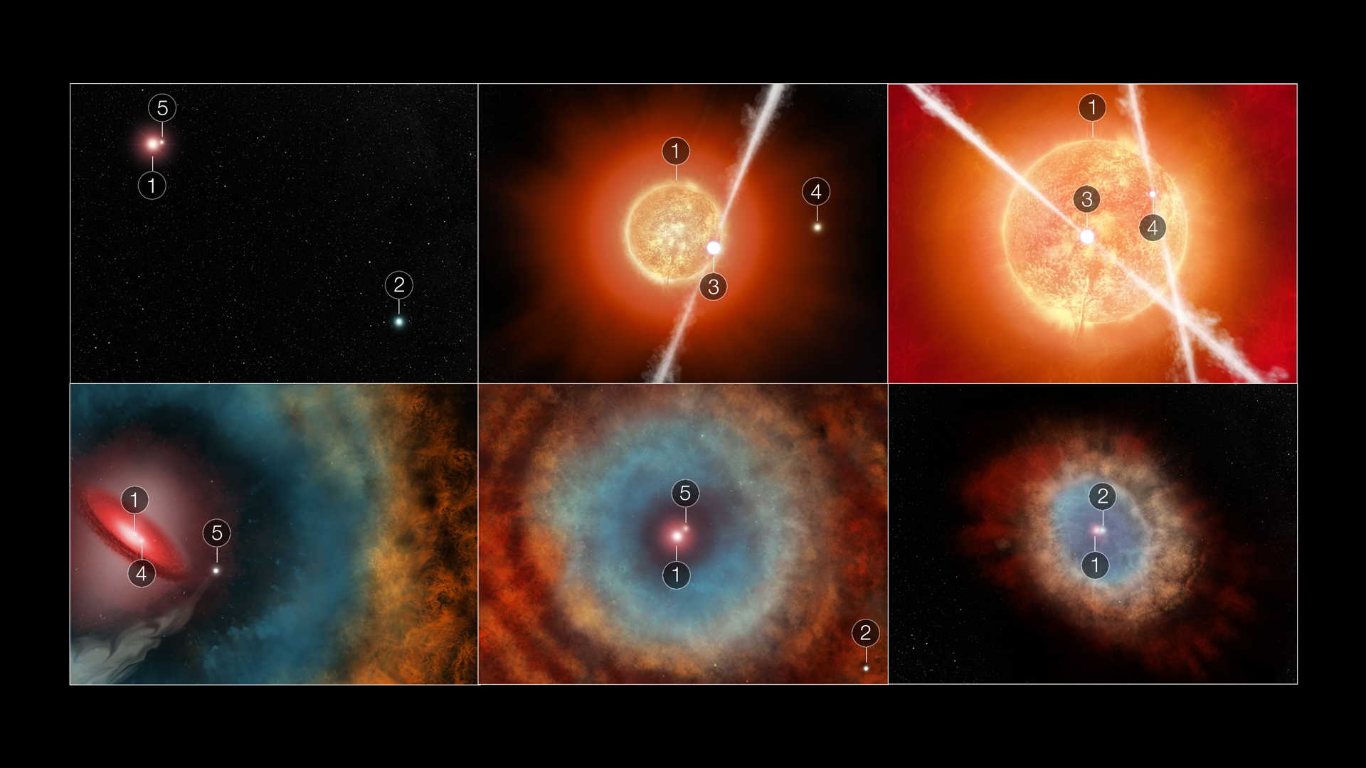 Імовірний сценарій формування туманності у тому вигляді, якою її роздивився телескоп. Під номером 1 і 2 позначені центральна зоря, яка відповідальна за формування туманності, а також її відомий компаньйон.&amp;nbsp;На нових світлинах ці зорі не видно — їх або не видно за газом та пилом, або, імовірно, їх поглинула центральна зірка після своєї смерті.&amp;nbsp;NASA, ESA, CSA, STScI, Orsola De Marco (Macquarie University); Joseph DePasquale (STScI)