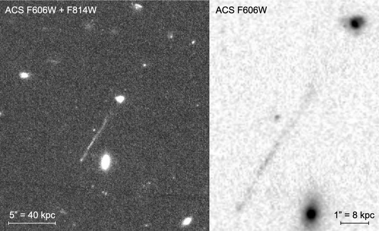 Знімки камери ACS телескопа «Габбл», що виявляють структуру, яка може бути слідом впливу чорної діри. Pieter van Dokkum et al. / arXiv, 2023