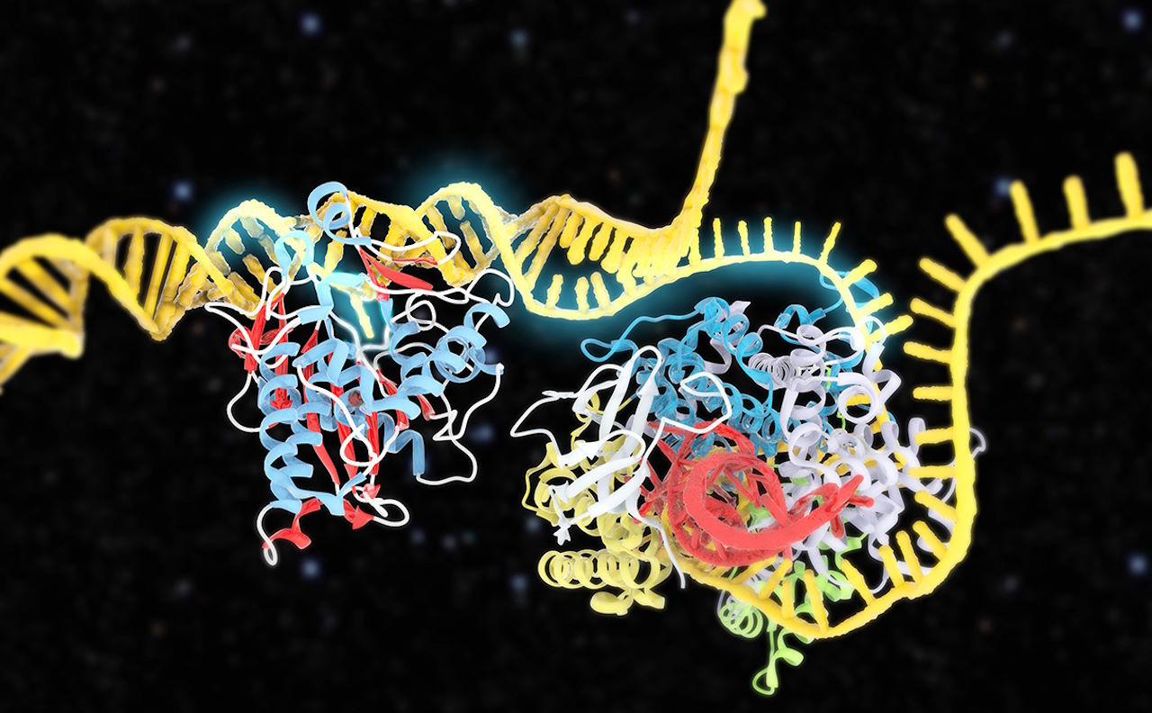 Художня ілюстрація редагування ДНК.&amp;nbsp;RAMON ANDRADE 3DCIENCIA / SCIENCE PHOTO LIBRARY