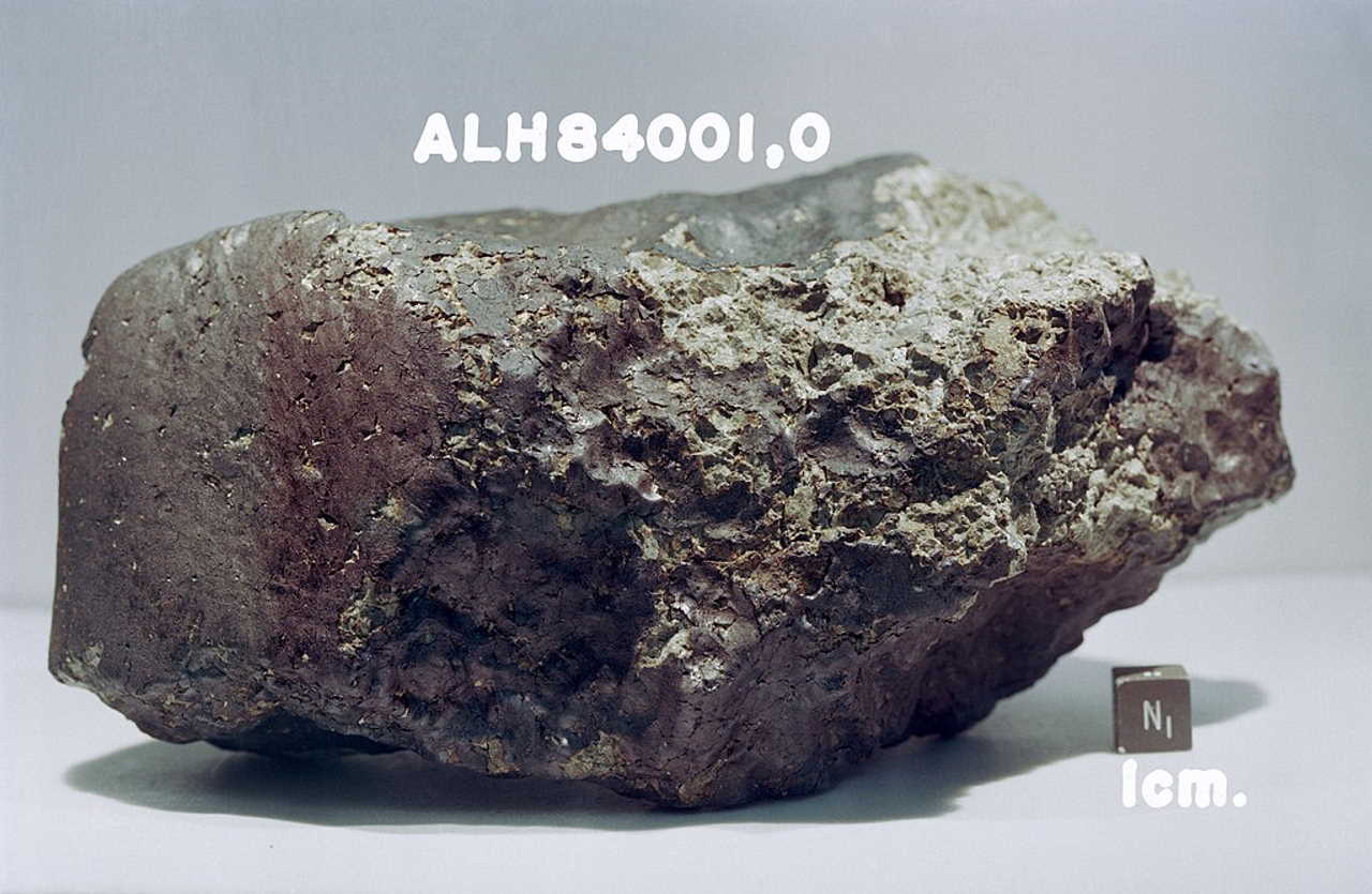 Один з взятих для аналізу метеоритів — знайдений 1984 року в Антарктиді Allan Hills 84001 / NASA