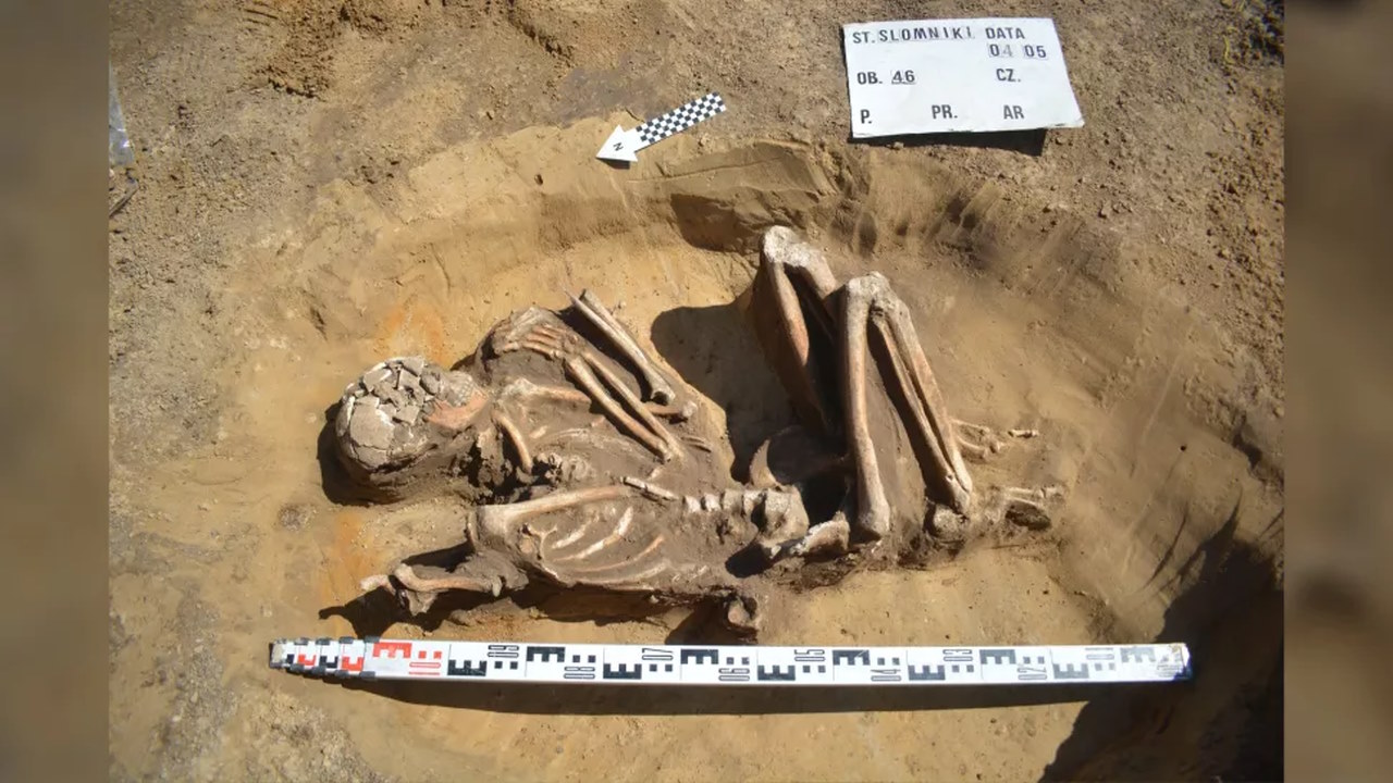 Рештки людини, віком 7000 років, знайдені у Польщі.&amp;nbsp;Pawel Micyk &amp;amp; Lukasz Szarek