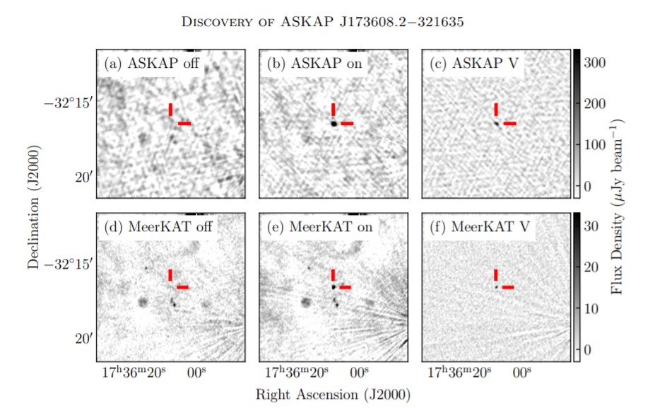 Зображення з радіоінтерферометра&amp;nbsp;ASKAP та радіотелескопа&amp;nbsp;MeerKAT.&amp;nbsp;Ziteng Wang et al