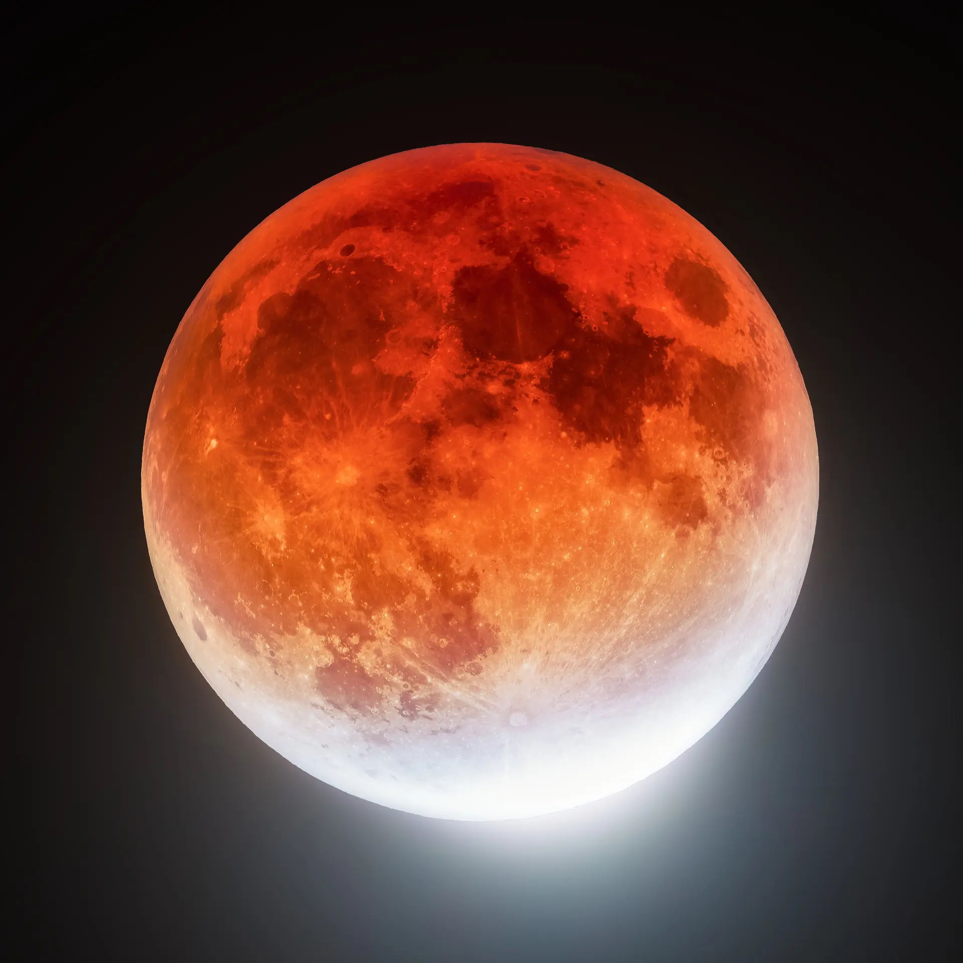 Місяць під час затемнення у листопаді 2021. Noah Kujawski