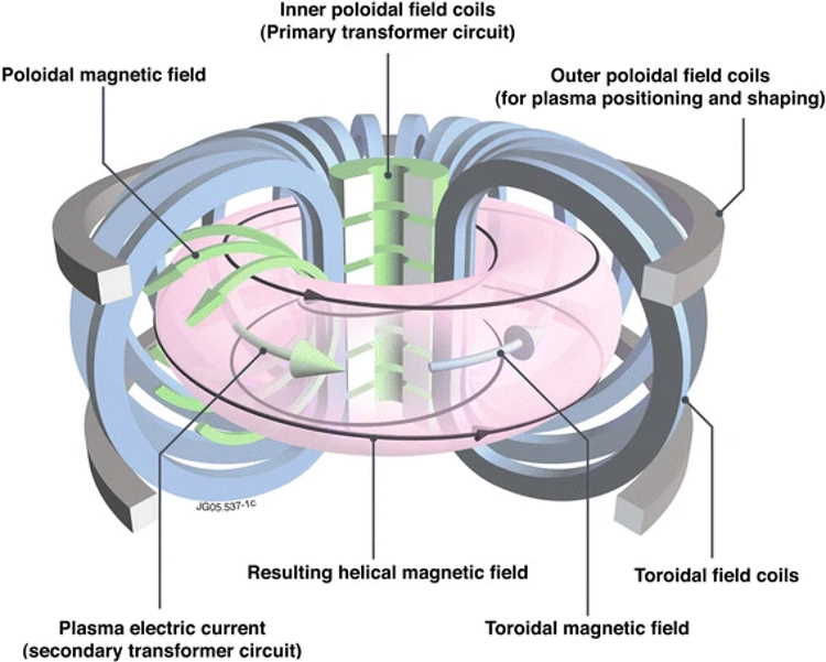 Набір котушок утворює тороїдальне магнітне поле подібно тому, як зображено на цій спрощеній схемі будови токамака. Gianmaria De Tommasi / Journal of Fusion Energy, 2018