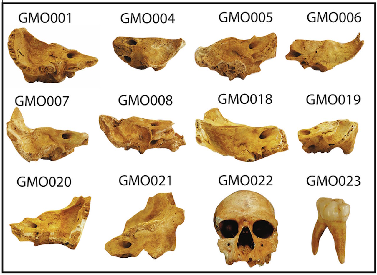 Рештки людей із півдня Італії, ДНК з яких вказала на інцест. Хлопчик GMO007 виявився сином чоловіка GMO022 та його доньки, чиї рештки не знайшли. Fontani et al. / Communications Biology, 2025