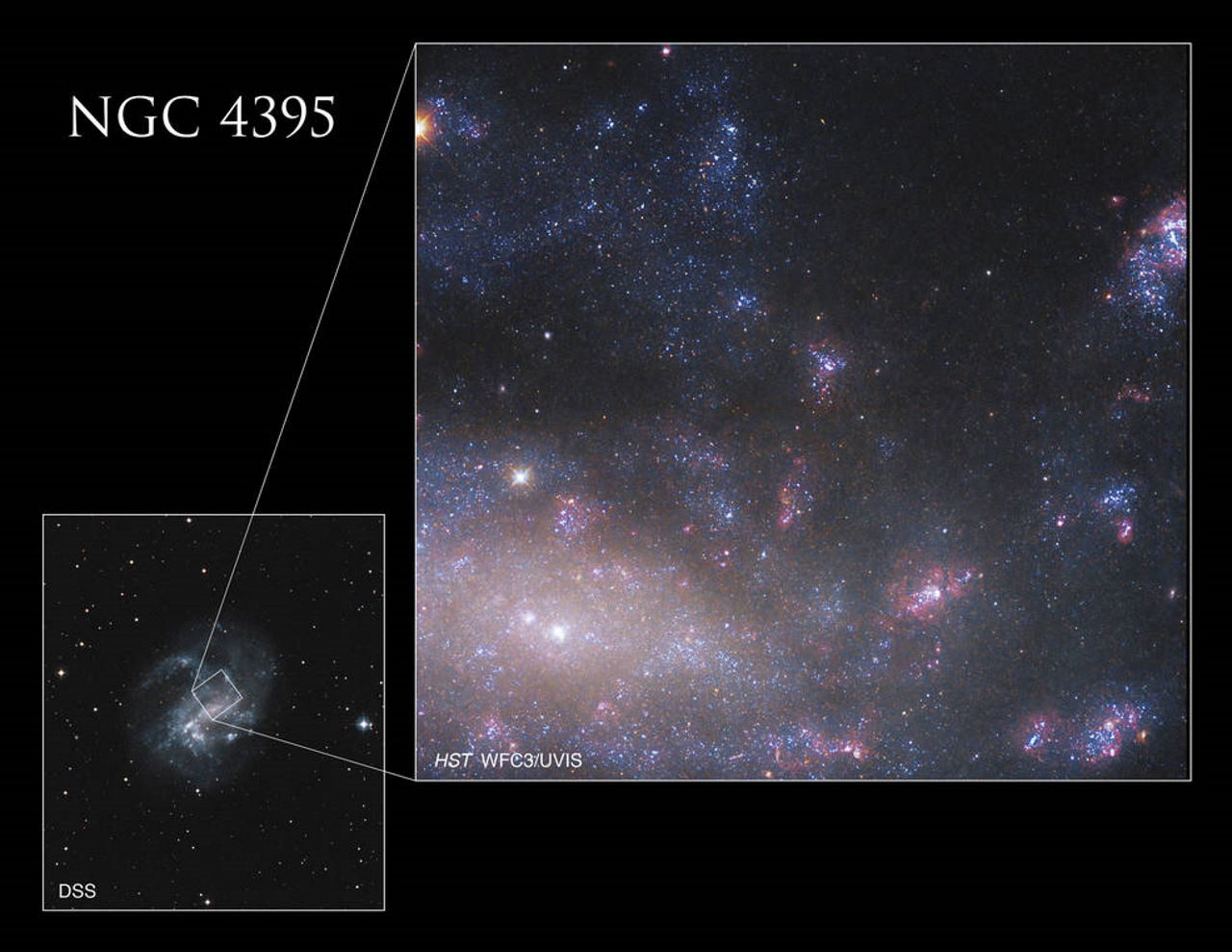 Центральна область галактики NGC 4395, яку сфотографував «Габбл» за допомогою своєї камери Wide Field Camera 3. NASA, ESA, DSS, S. Larsen (Radboud Universiteit Nijmegen) and E. Sabbi (STScI); Processing: Gladys Kober (NASA/Catholic University of America)